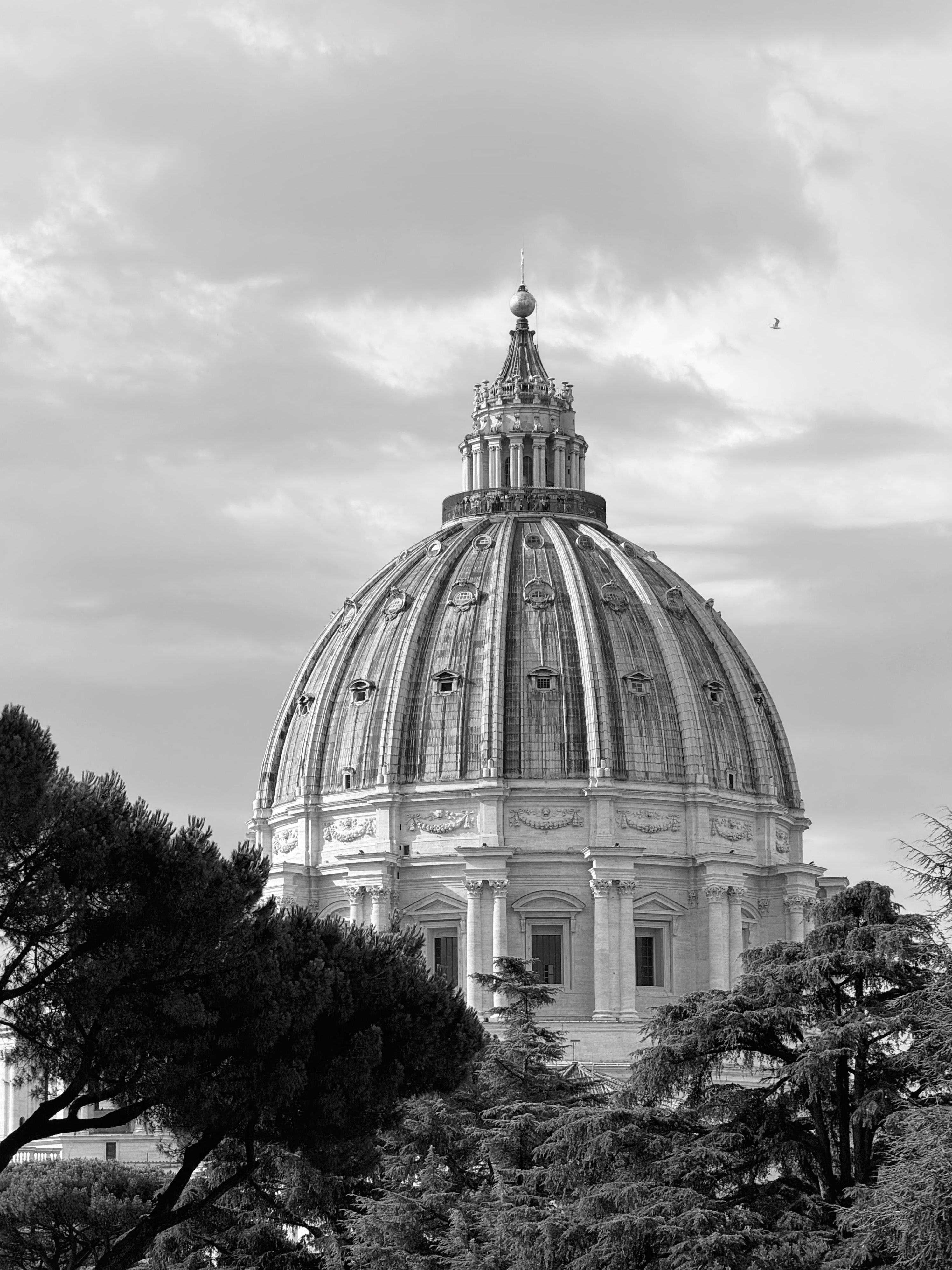 Black and white photo print of dome with trees in Vatican City, Rome, Italy