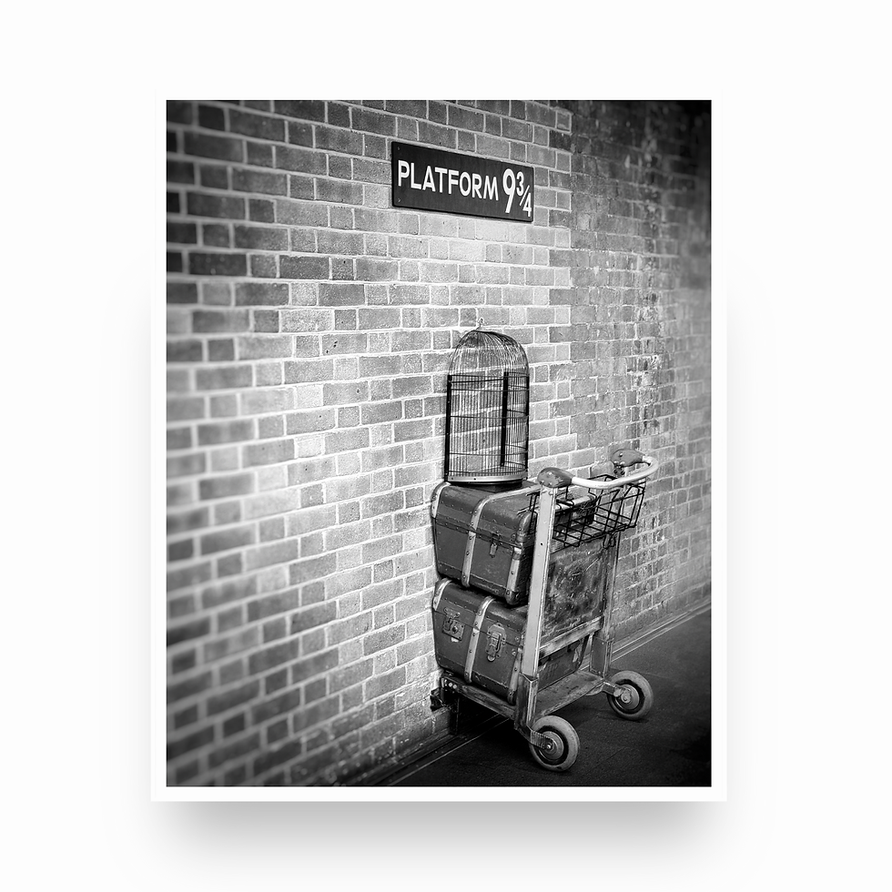 Thumbnail: Black and white photography of the Platform 9 3/4 sign and luggage trolley with birdcage entering a brick wall at King's Cros