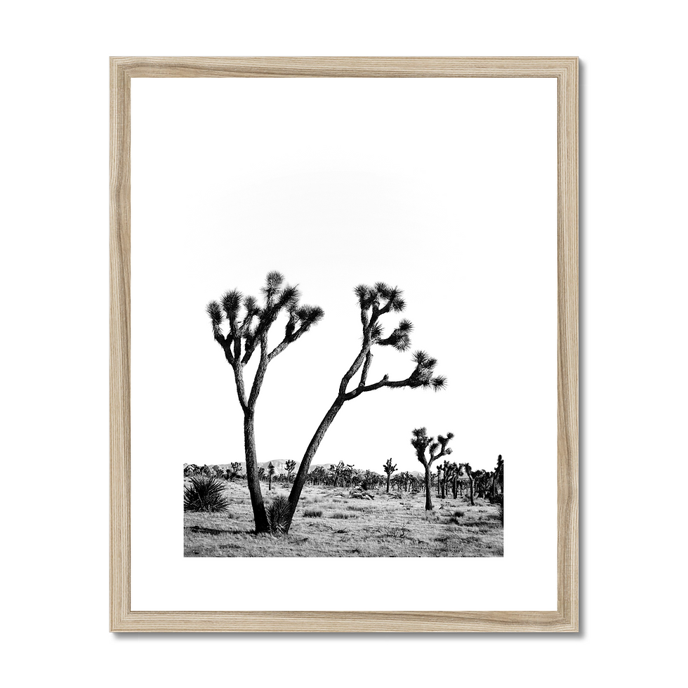 Thumbnail: black and white minimalist print of a solitary Joshua Tree