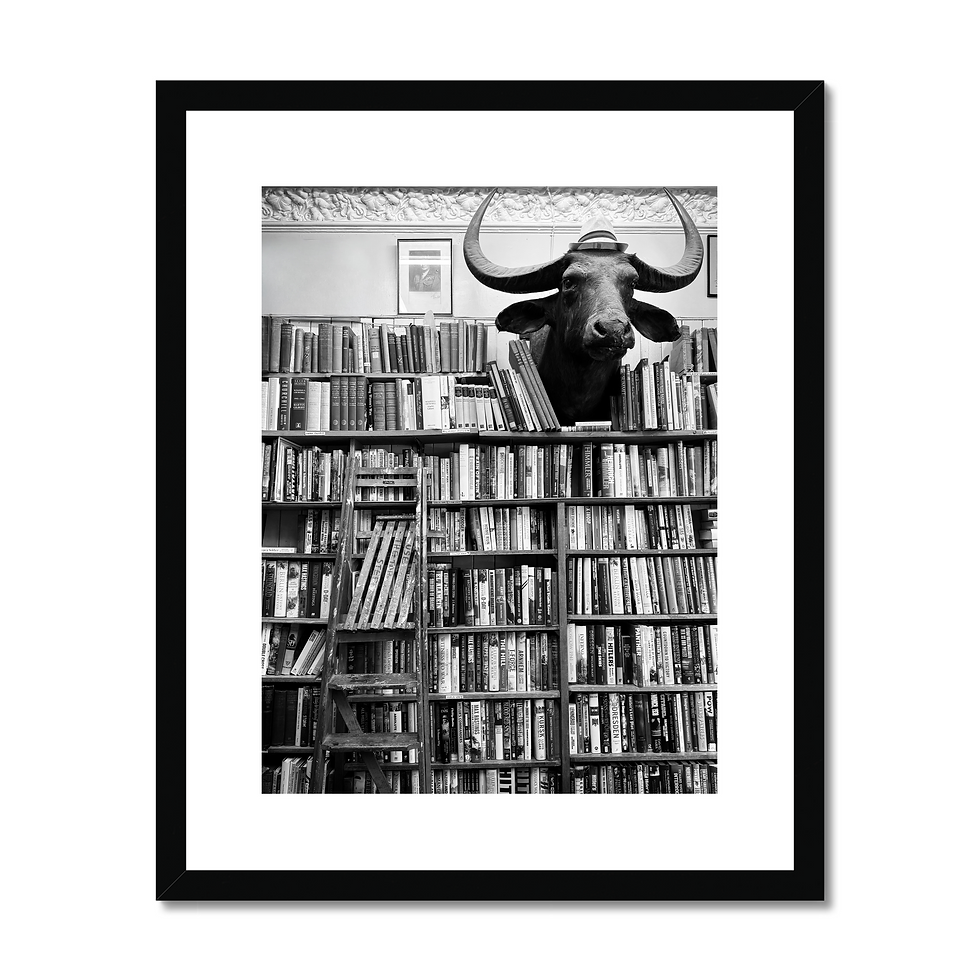 Thumbnail: Black and white photo print of buffalo head inside bookstore in Edinburgh, Scotland