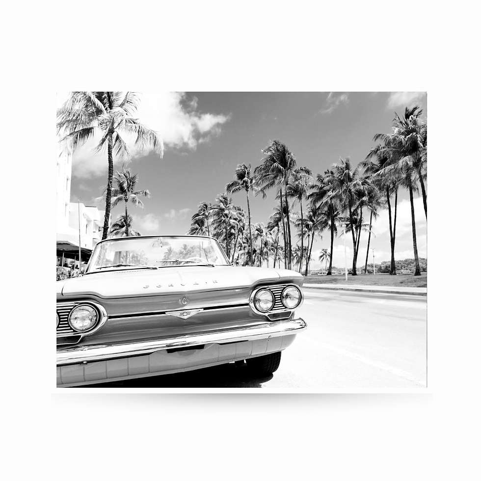 Thumbnail: Vertical black and white photo of a classic car parked on Ocean Drive with palm trees in Miami.