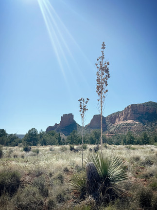 Red Rock Scenic Byway aka State Road 179 Bell Rock