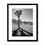 Thumbnail: Joshua Shadowland- California, USA