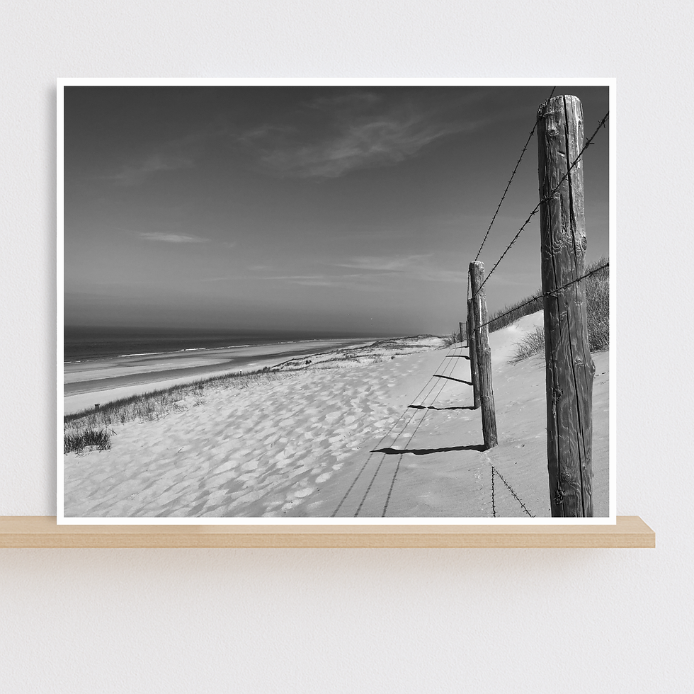 Black and white minimalist coastal photo print of wooden fencing along sand dunes on beach