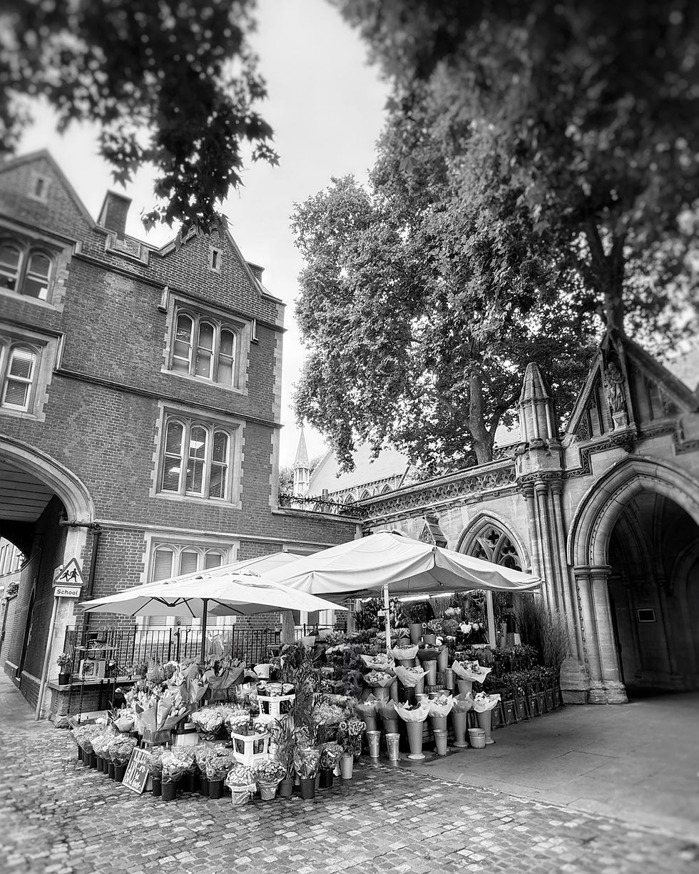 Black and white photograph of a flower market stall in Kensington London with buckets of blooms.