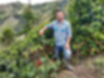 Thumbnail: Striped Bourbon, Natural Anaerobic, Alexander Vargas, Colombia