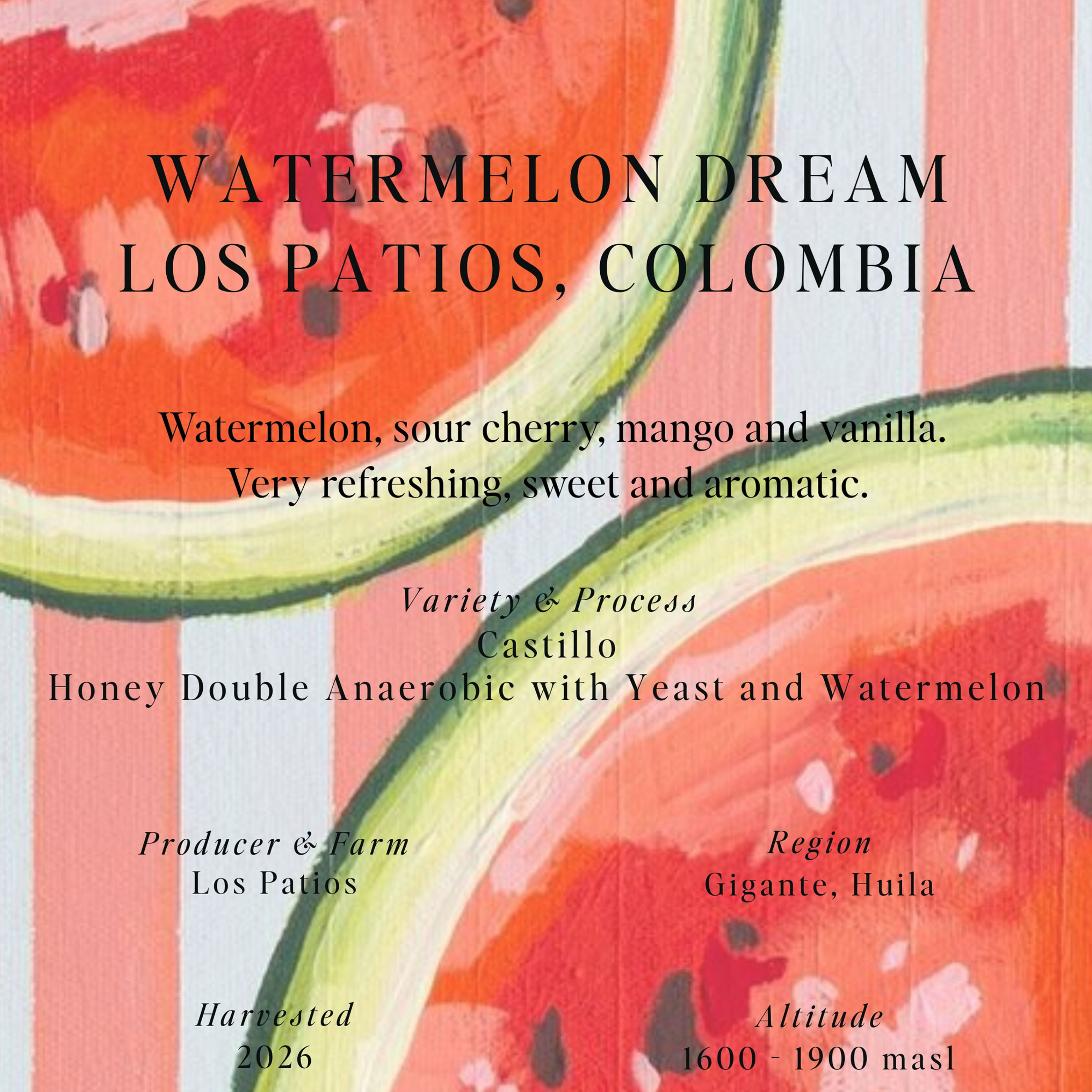 Watermelon Dream, Los Patios, Colombia