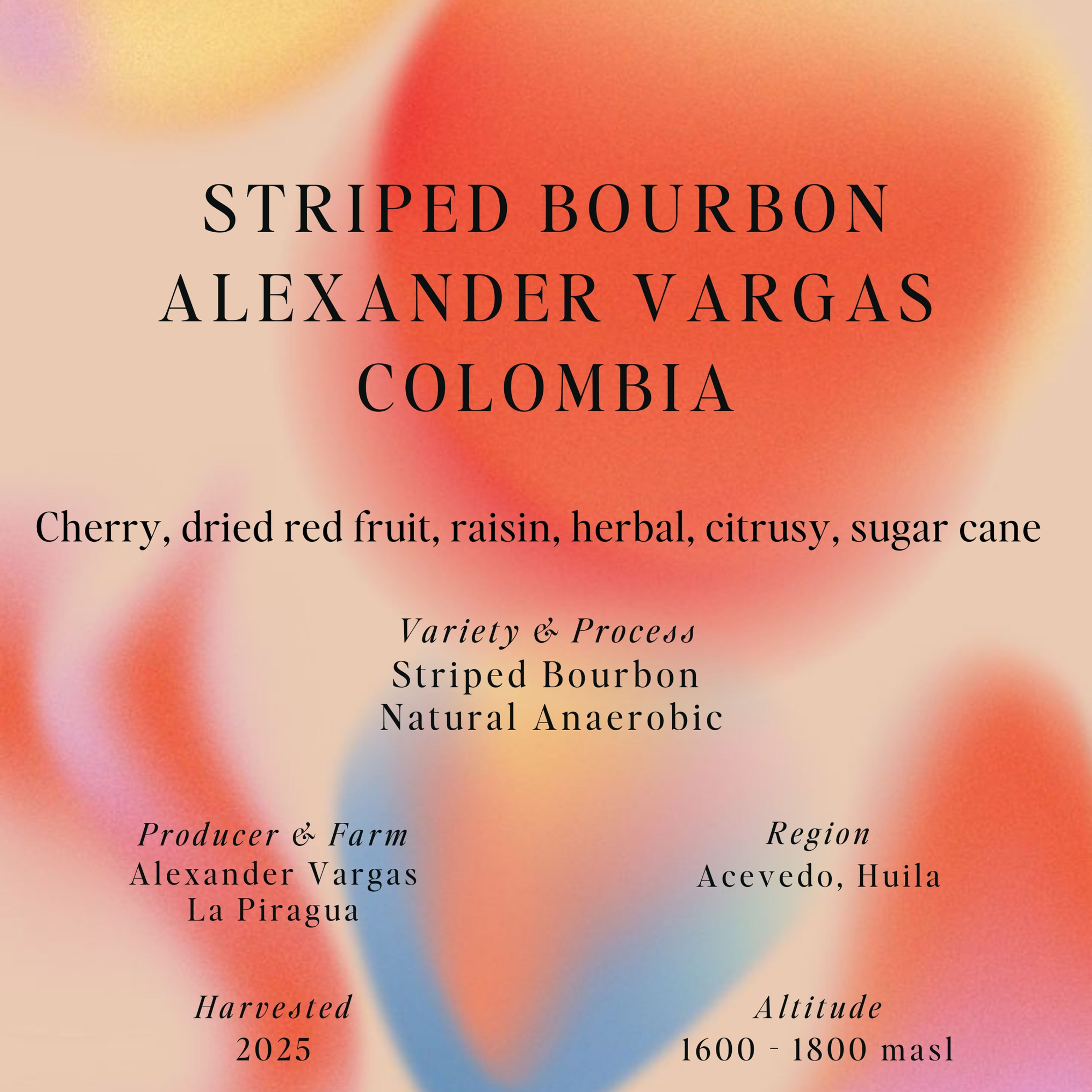 Striped Bourbon, Natural Anaerobic, Alexander Vargas, Colombia