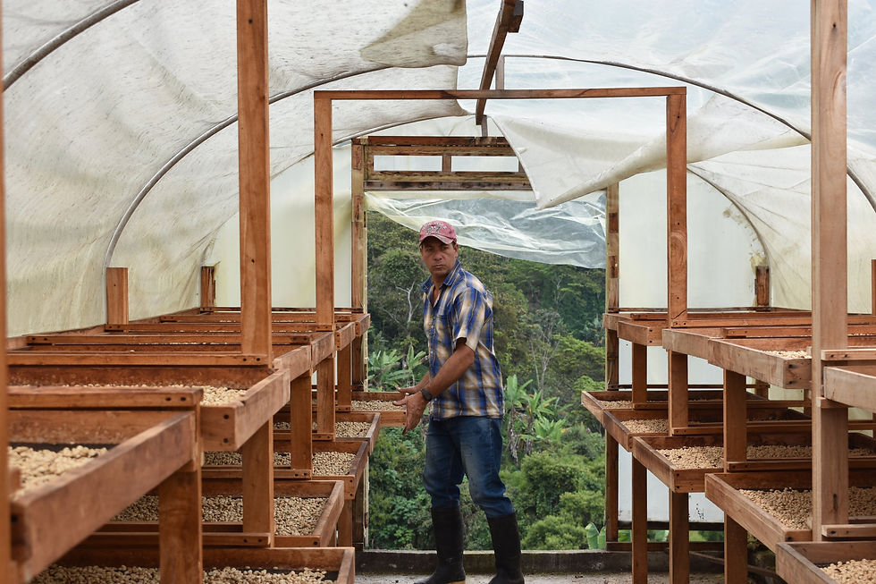 Thumbnail: Espresso Dulce Gesha, Washed, Colombia