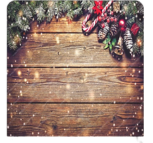 Woodland Christmas_edited.png