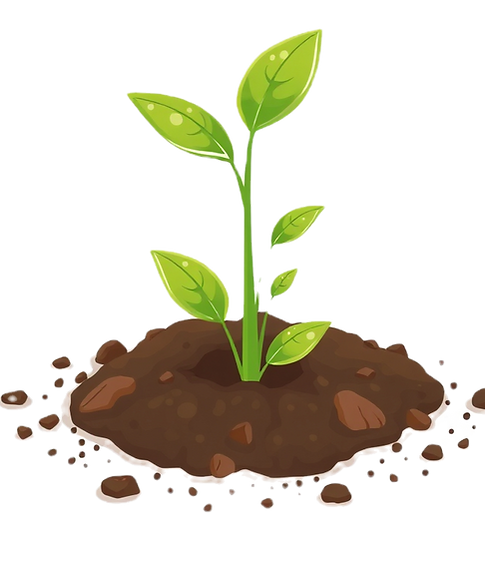 plant sprouting in soil white background