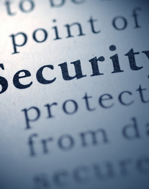 Watchful Security Services
