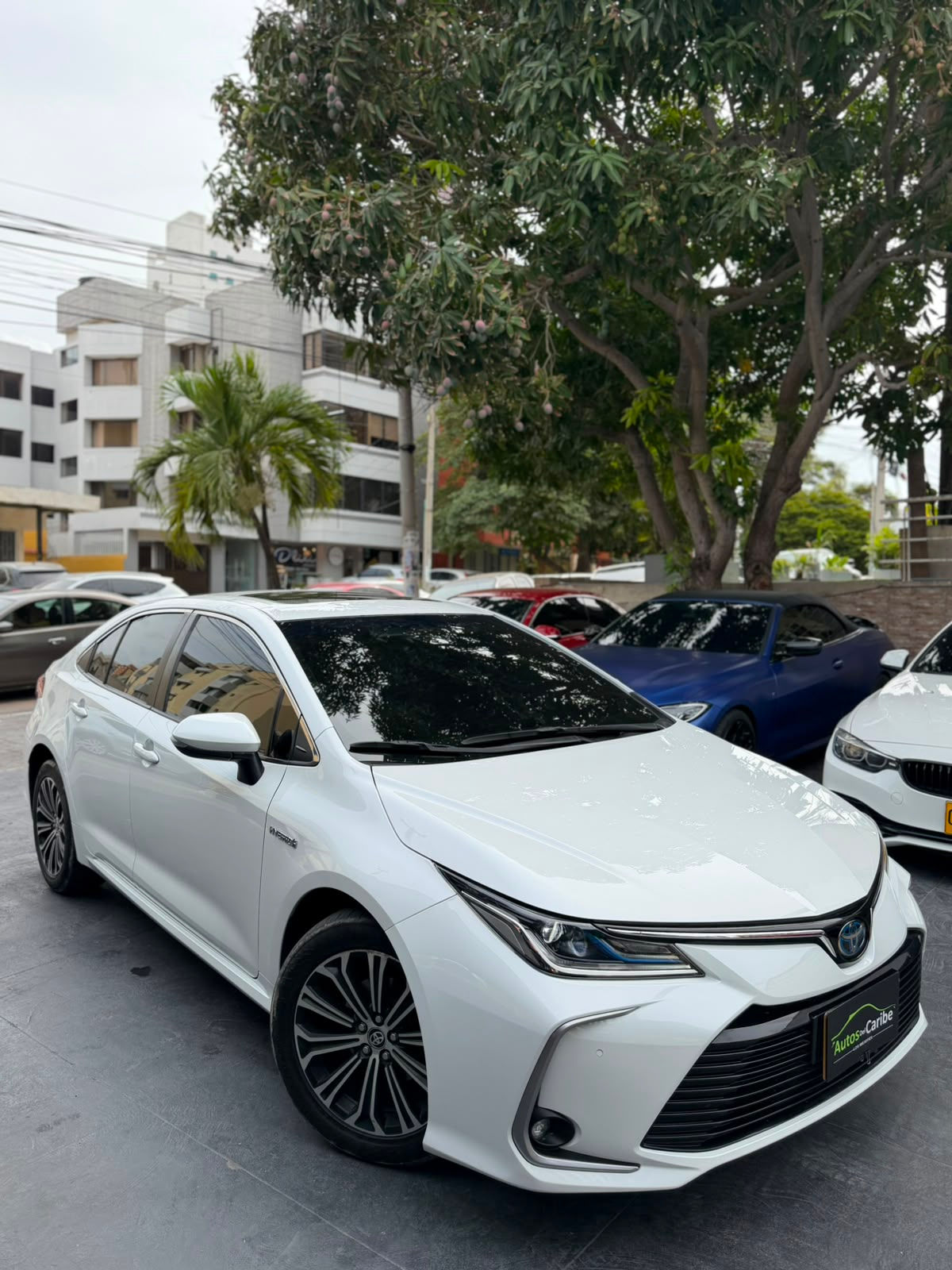 TOYOTA COROLLA SE-G