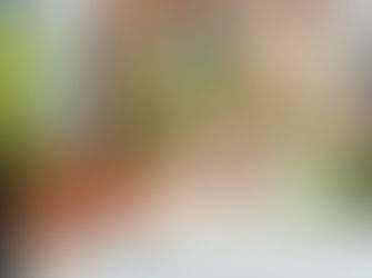 Kostenlos schlauer werden: Spannende Bildung durch kostenlose Kurse