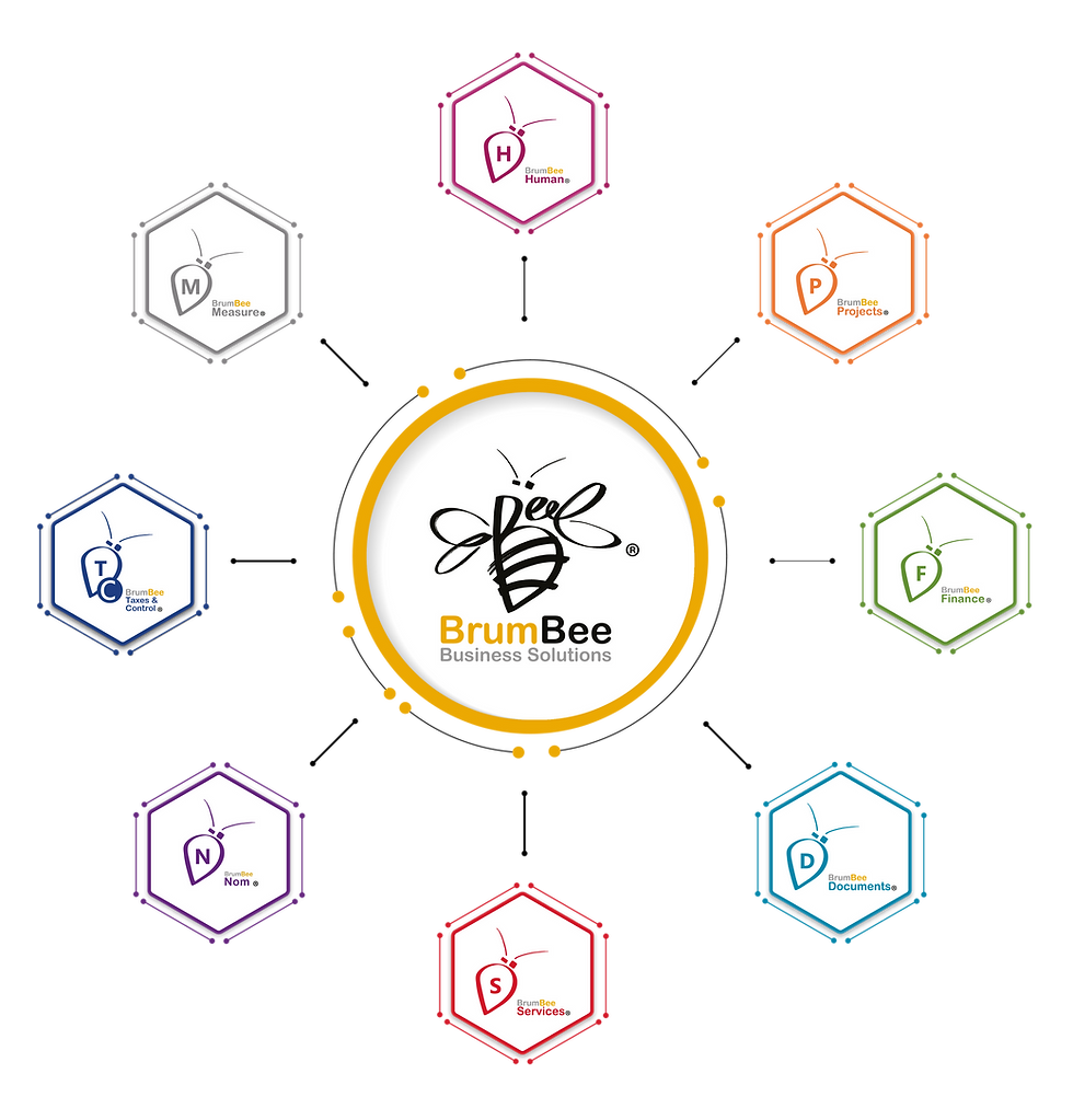 esquema brumbee suite (1).png