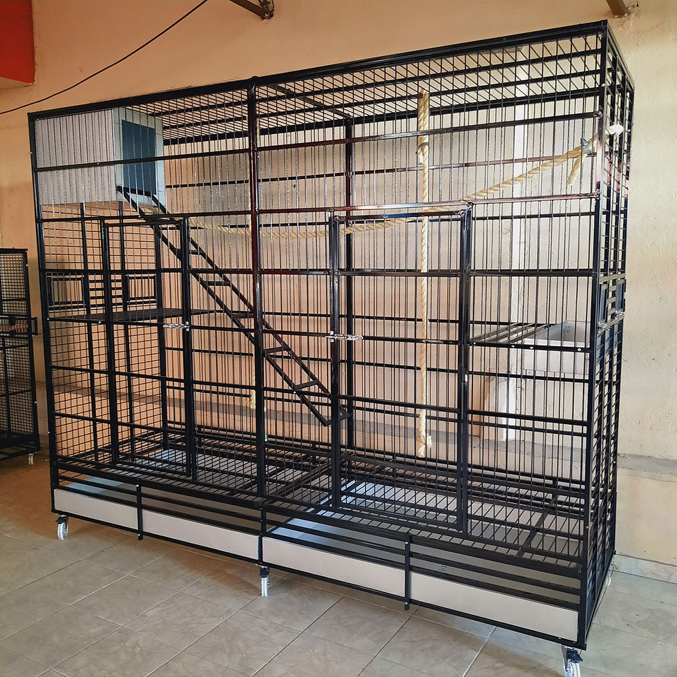 Miniatura: VIVEIRO 2,0 X 2,50 X 0,80 MTS PARA MACACO-PREGO