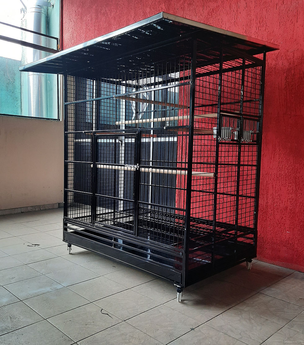 Miniatura: VIVEIRO PAPAGAIO (AVES MÉDIAS) COM TELHADO Á MAIS 1,60 X 1,40 X 0,90