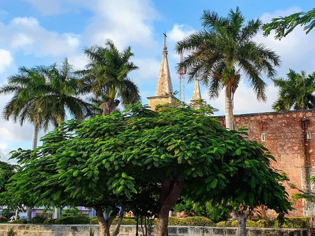Los yucatecos tiran la basura… en Alemania