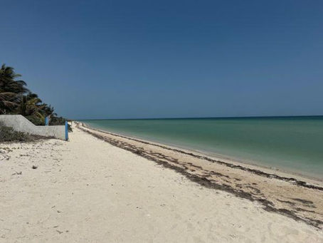 Playa San Benito, Yucatán: tranquilidad, exclusividad y una de las mejores playas cerca de Mérida