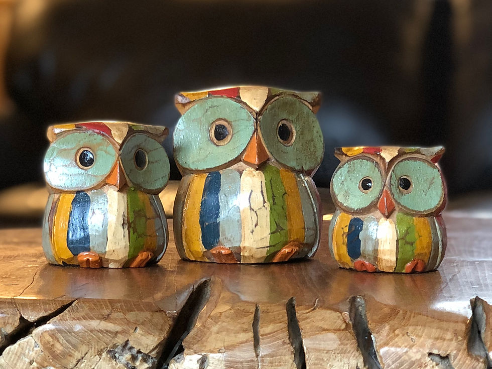 Set of three Eccentric Wooden Owls