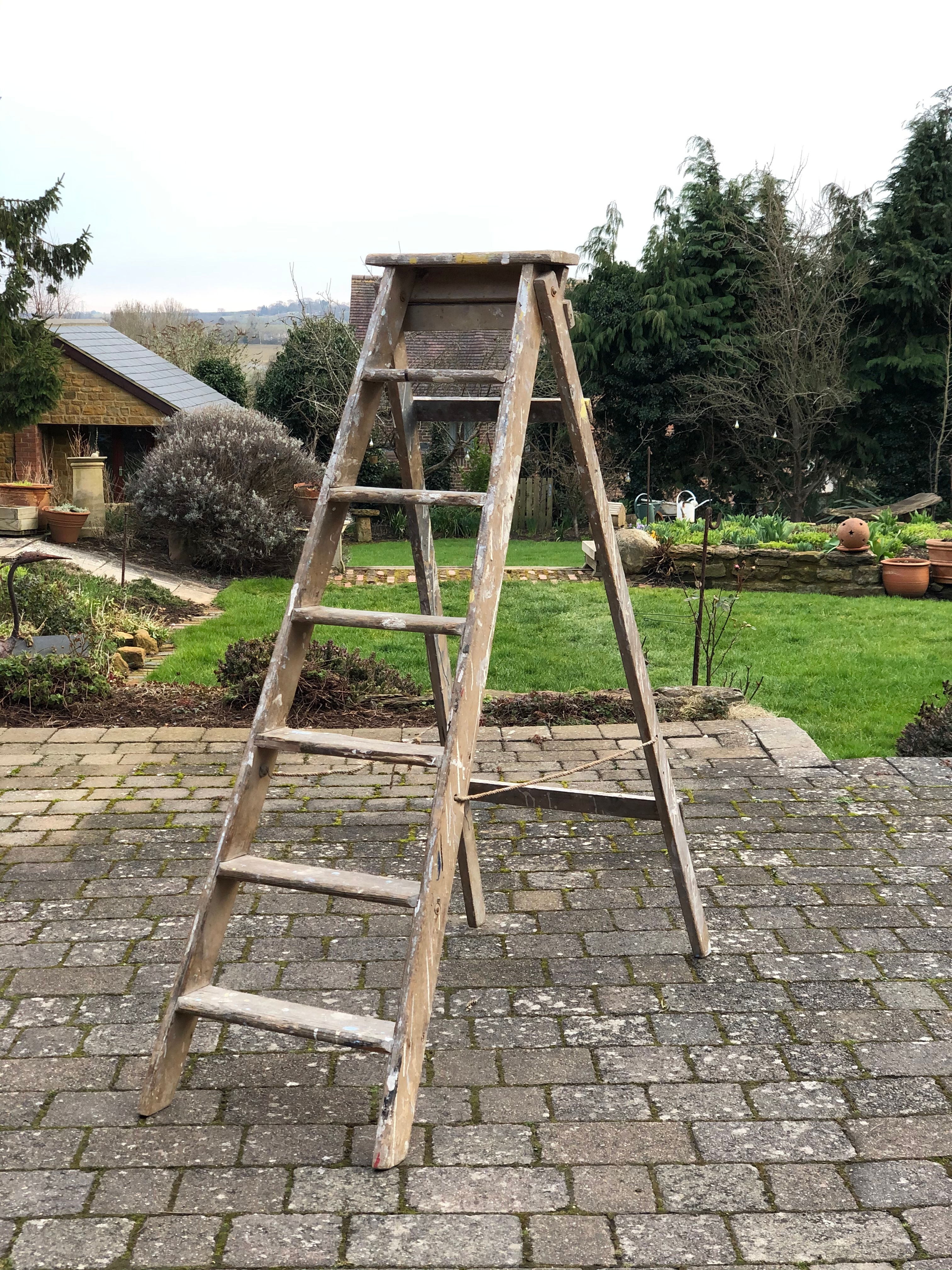 Vintage Step Ladders