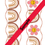Miniaturbild: Classroom Borders