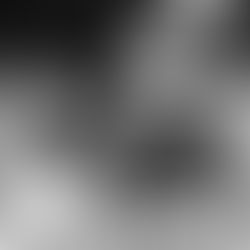 (B01C20) Chapter 20: Gods and Dogs