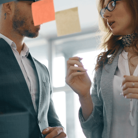 professional-business-people-working-together-on-p-2023-11-27-05-16-13-utc (1).gif