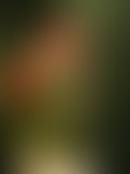 “Êxtase”: novo projeto de Cabelinho explora desejo, amor e autoconhecimento