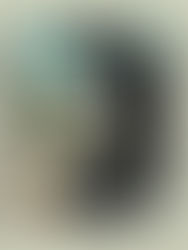 Palco de Lady Gaga em Copacabana terá estrutura grandiosa