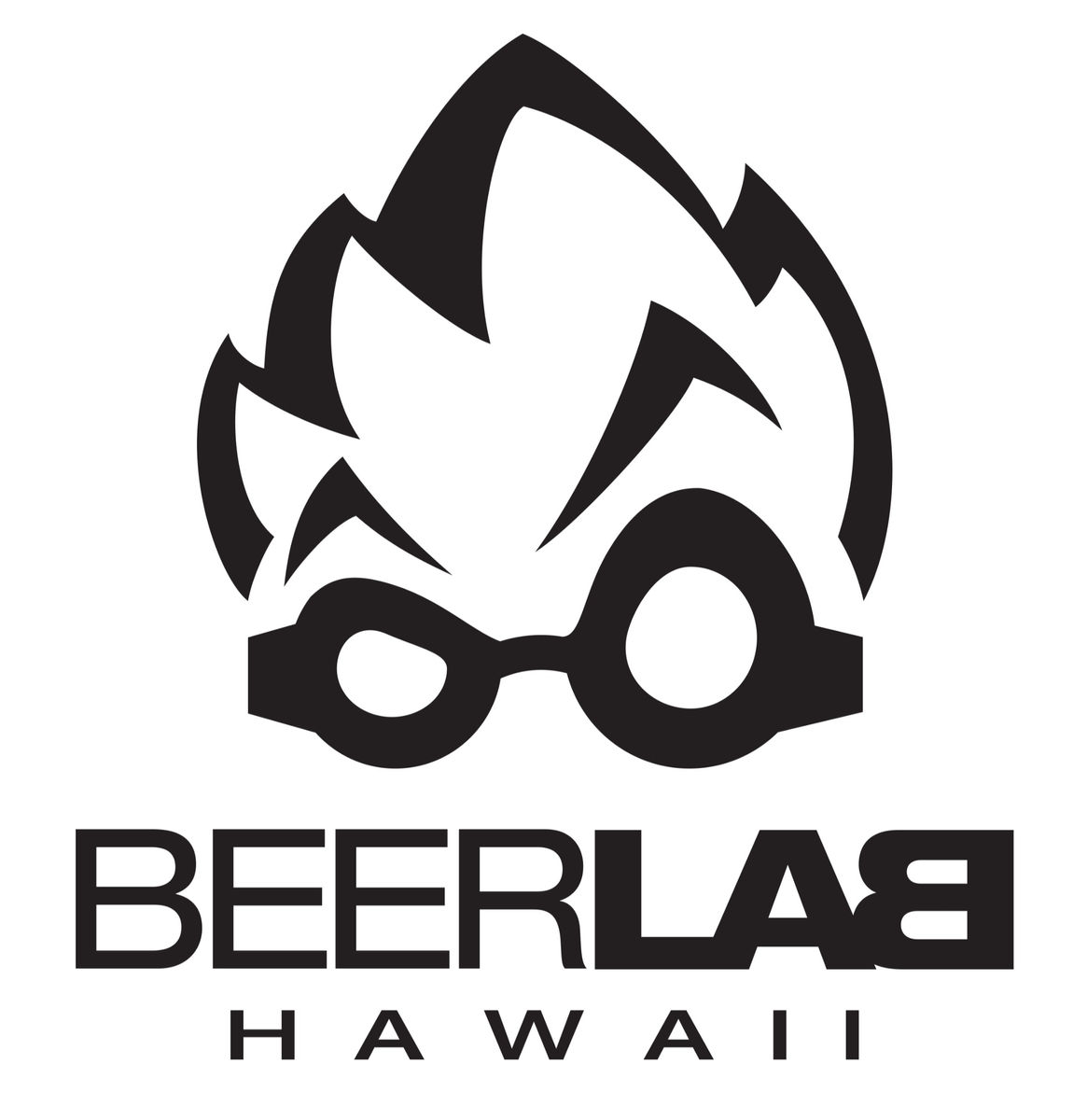 Beer Lab HI Puck's Alley
