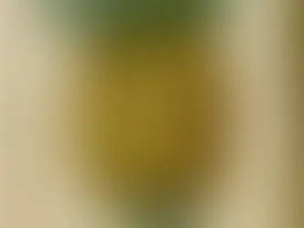 Le fruit mystérieux en classe de 5ème