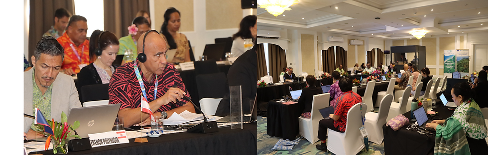 Person speaking at event