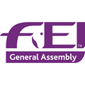 FEI logo