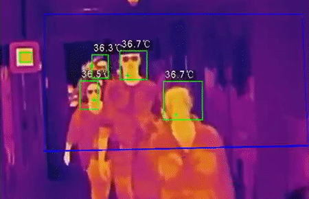 Thermal camera detecting temperatures