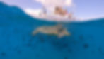 Pink Sails Turtle Canyon Tour.jpg