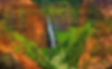 Kauai Sightseeing Image.jpeg