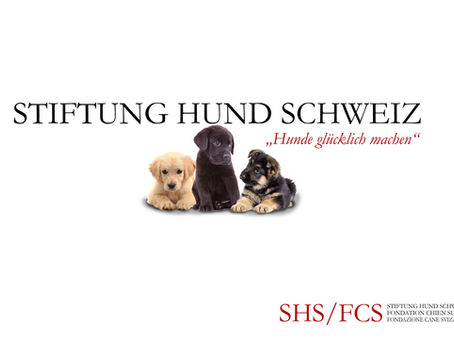 Stiftung Hund Schweiz – nahe beim Hund 
