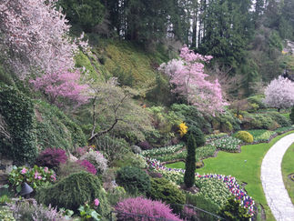 Passeio de um dia à Victoria