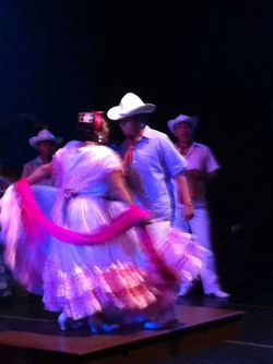 Festival Patria Grande Df.