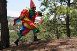 Capsula Documental Ometeotl