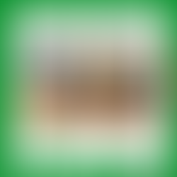 2024.8 鑑賞プログラム実施