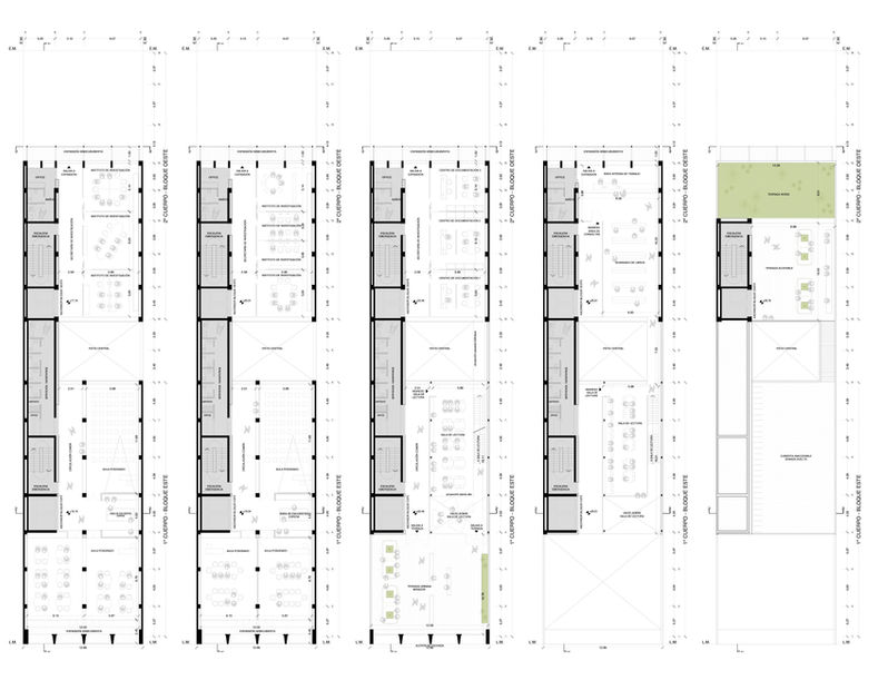 plantas p. web 2.jpg