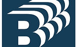 NG Bailey Logo_edited.jpg
