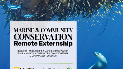 National Geographic Society & The Nature Conservancy Freshwater and Community Conservation Externship