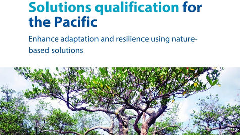Call for applications: Are you interested in learning how to use nature to build climate resilience in the Pacific?