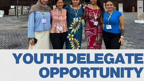 AYFICE Youth Delegate Programme