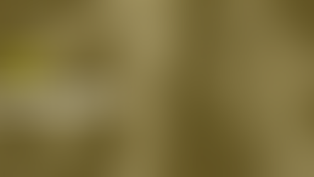 Climate Friendly Travel (CFT) Diploma Scholarships 2025