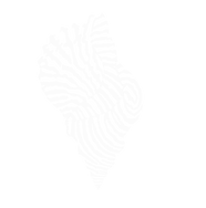 Future Ancestors Program IG Post(1).png