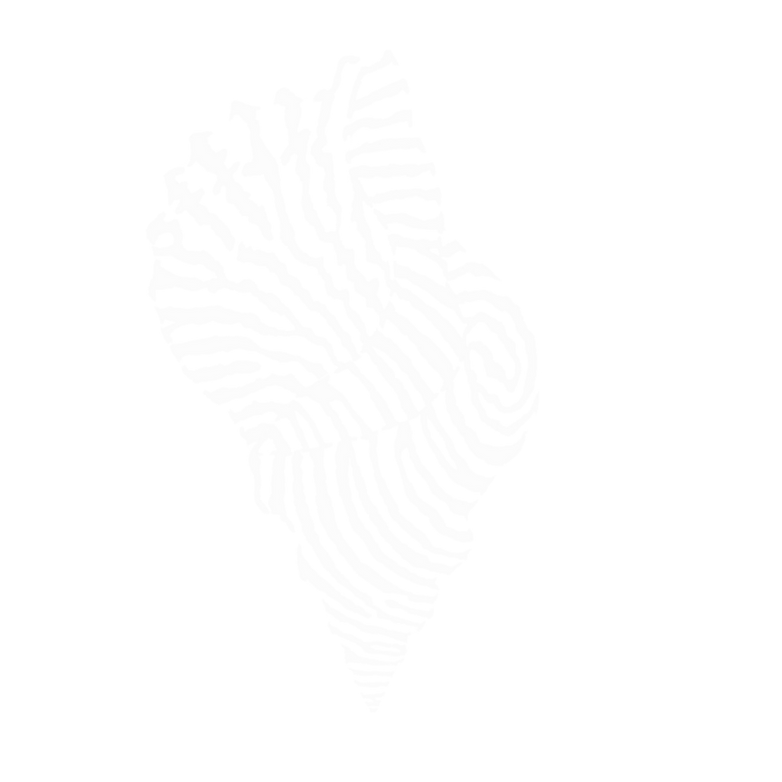 Future Ancestors Program IG Post(1).png